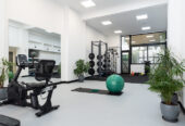 Lines Studio