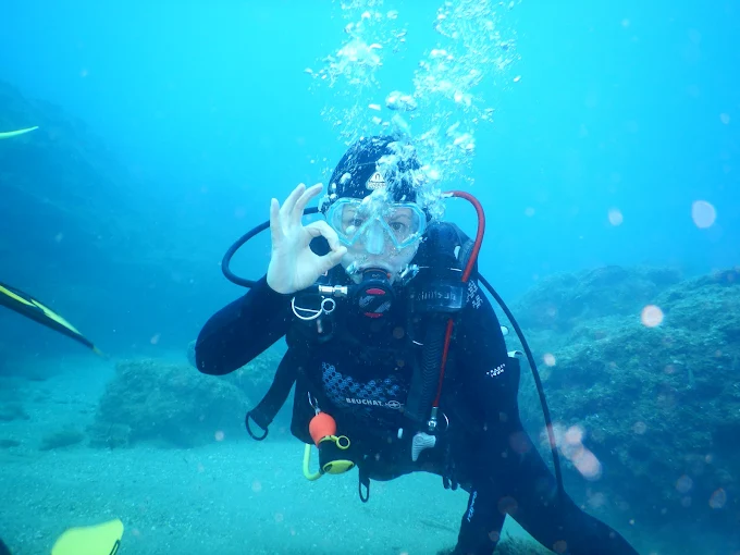 Hippocampos καταδύσεις