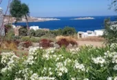 Aphrodite Garden Rooms & Apartments