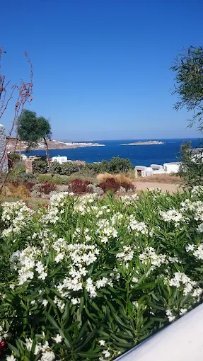 Aphrodite Garden Rooms & Apartments
