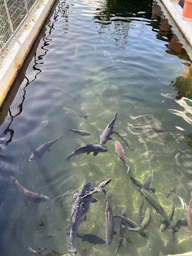 Ταβέρνα Βότομος