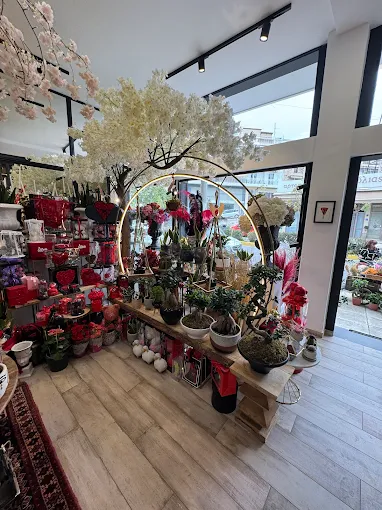 MOISIS FLOWERS DESIGN | ΑΝΘΗ – ΦΥΤΑ