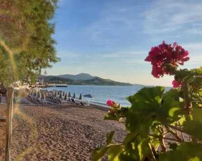 unnamed-2025-06-19T122944.051