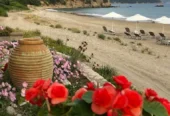 Taverna Tsapi Labropoulos