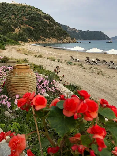 Taverna Tsapi Labropoulos