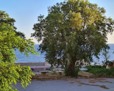 unnamed-2025-06-20T111424.521