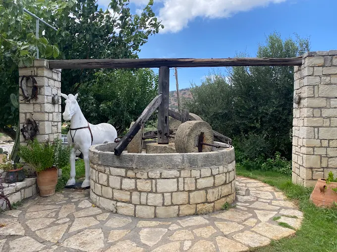 Paraschakis Olive Oil