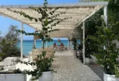 Mple Seafood Cuisine & Beach Bar