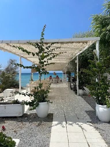 Mple Seafood Cuisine & Beach Bar