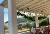 Το λιβάδι