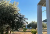 Το λιβάδι