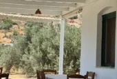 Το λιβάδι