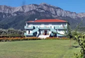Zeus Apartments