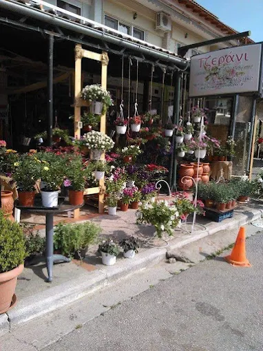 Τζεράνι ανθοπωλείο