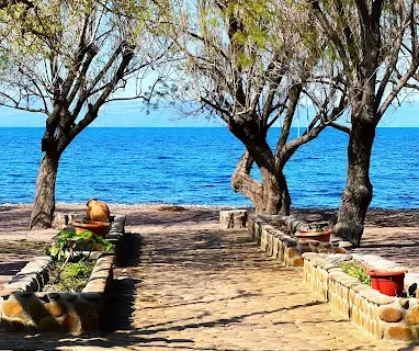 unnamed-2025-08-08T113543.738