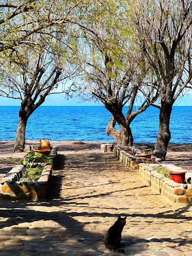 Ψαροταβέρνα “Η Καγια”