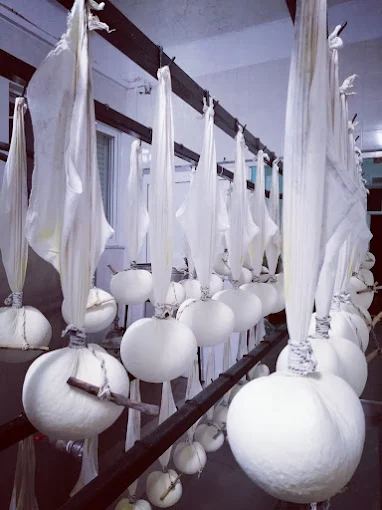 ΑΦΟΙ ΚΟΛΟΤΟΥΡΟΥ ΜΟΝΟΠΡΟΣΩΠΗ Ι.Κ.Ε