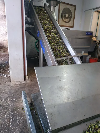 ΕΛΑΙΟΤΡΙΒΕΙΟ ΧΑΤΖΗΣΤΑΜΑΤΗ ΟΕ