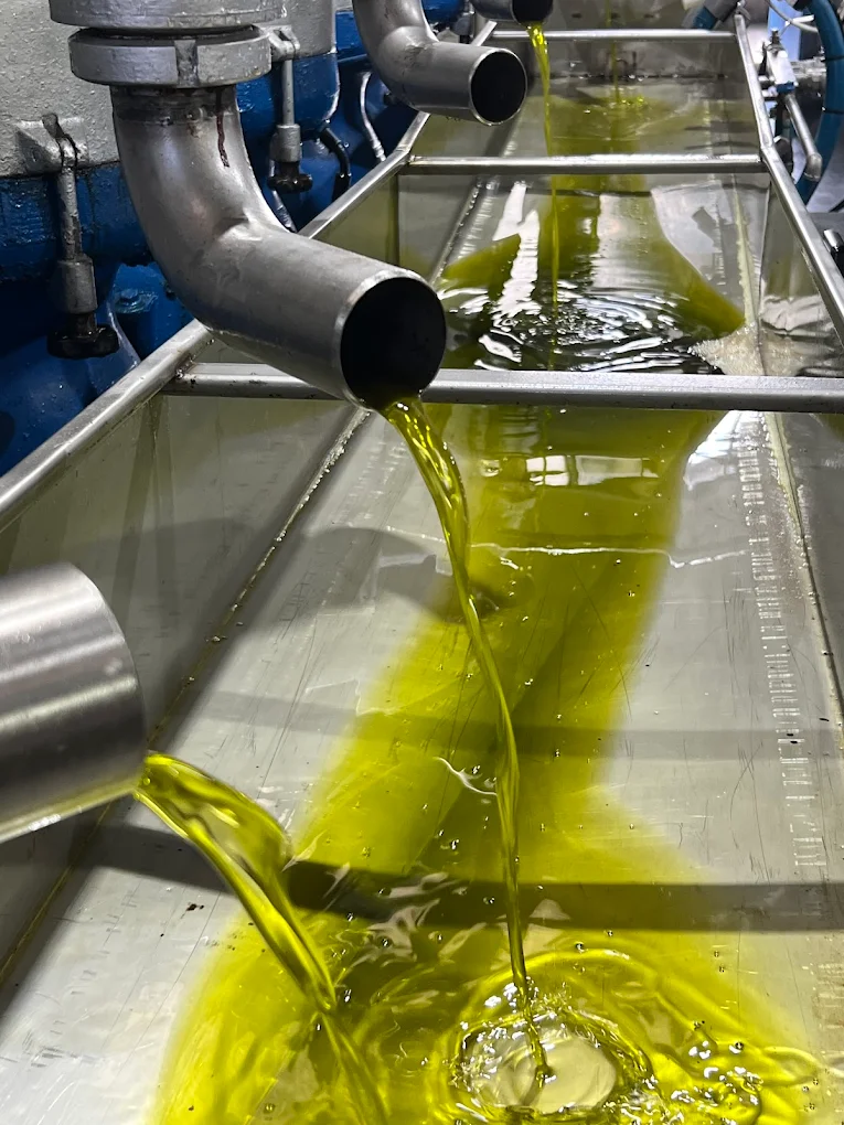 Σάββας Ψηλοπαναγιώτης ελαιοτριβείο