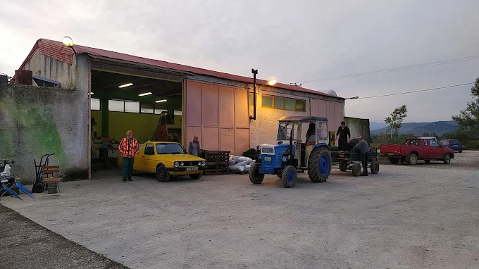 Ελαιοτριβείο Κατσάνος – Οικονόμου – Σακελλαρίου