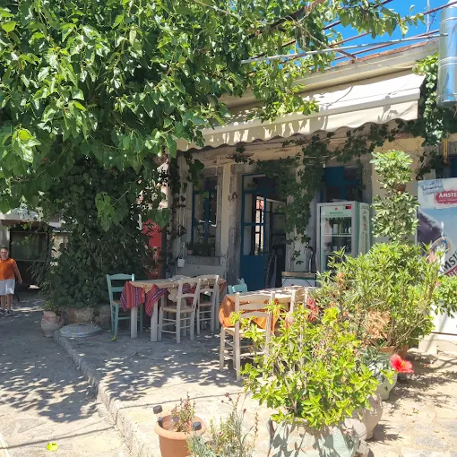 Πλάτανος Κρητική ταβέρνα