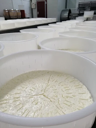 ΑΦΟΙ ΚΟΛΟΤΟΥΡΟΥ ΜΟΝΟΠΡΟΣΩΠΗ Ι.Κ.Ε