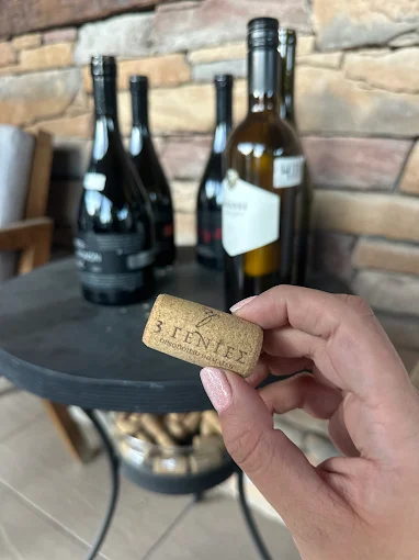 3 ΓΕΝΙΕΣ, Οινοποιείο&Αποστακτήριο