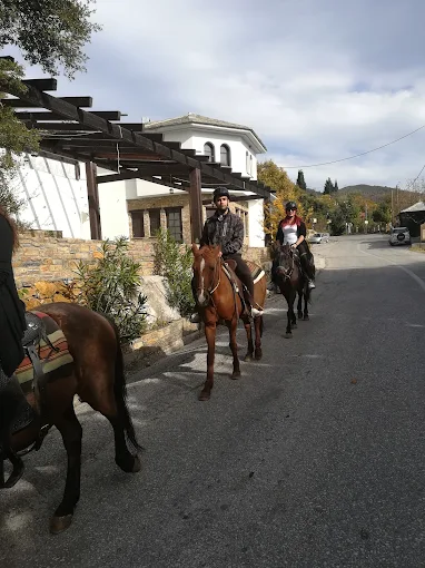 Περιηγήσεις με Άλογα