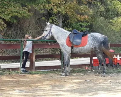 unnamed-2026-01-07T122236.674