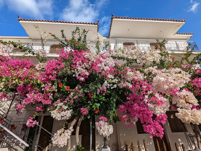 Super Market Λεκάκης