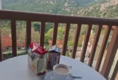 ΞΕΝΩΝΑΣ ΟΡΙΖΟΝΤΕΣ, XENONAS ORIZONTES