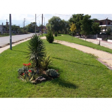 ΑΝΔΡΕΑΣ Δ. ΚΟΪΤΣΑΝΟΣ