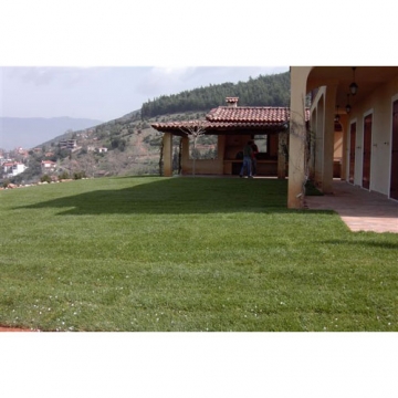 ΑΝΔΡΕΑΣ Δ. ΚΟΪΤΣΑΝΟΣ