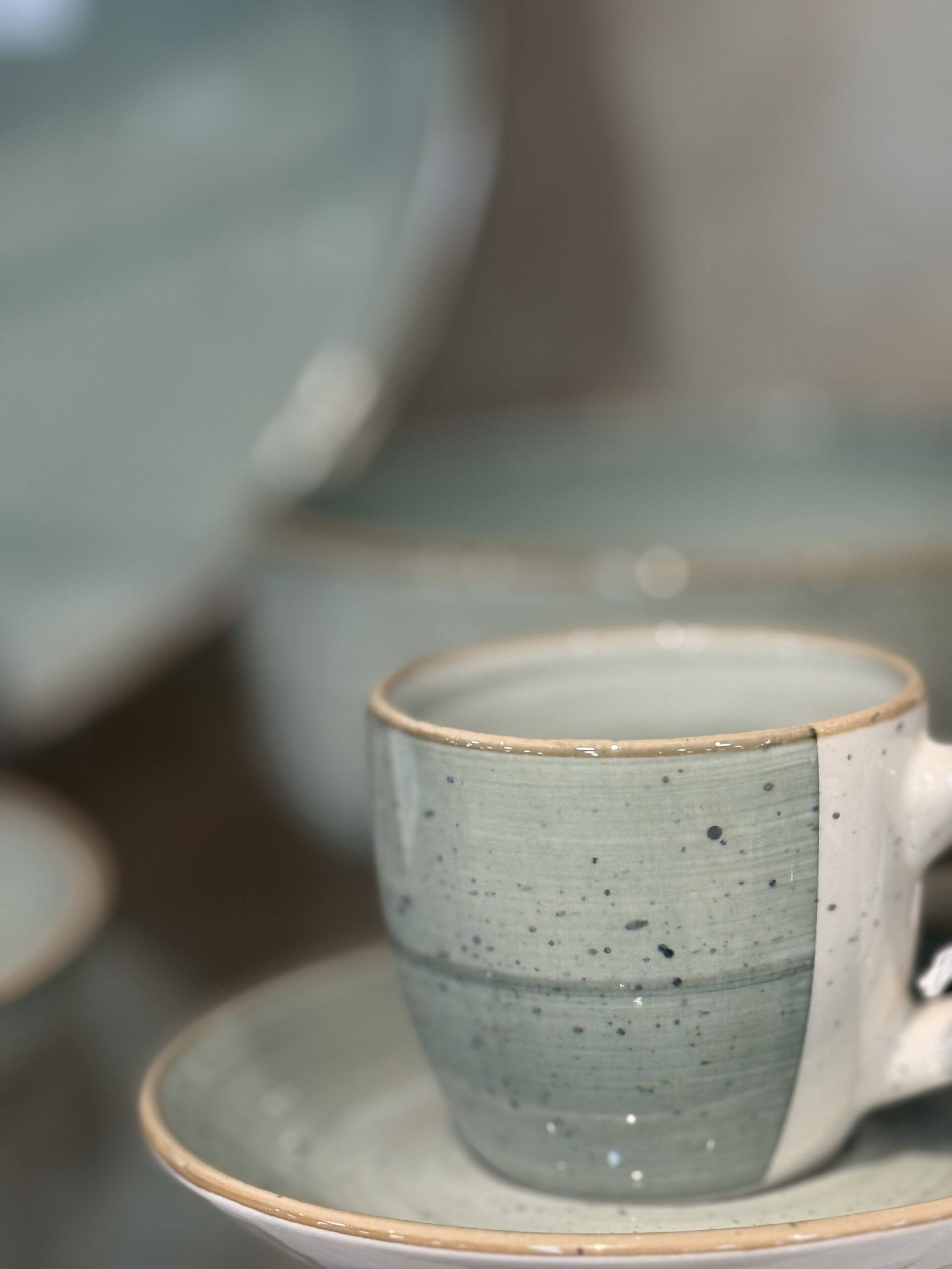 Βαγιάνος και Σία Ο.Ε εμπόριο οικιακός και Επαγγελματικός εξοπλισμός