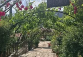 Ταβέρνα Ψησταριά Φρειδερίκη