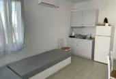 Ανεμόεσσα