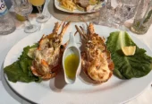 STEFANO FISH TAVERN