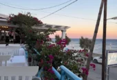 STEFANO FISH TAVERN