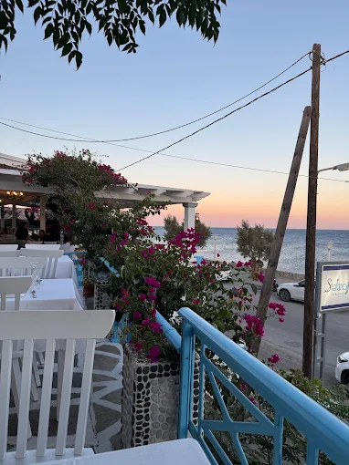STEFANO FISH TAVERN