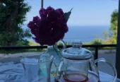 ΑΠΑΛΟΥ bistro