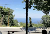 ΑΠΑΛΟΥ bistro