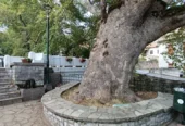 Στ’ Ρεματιά