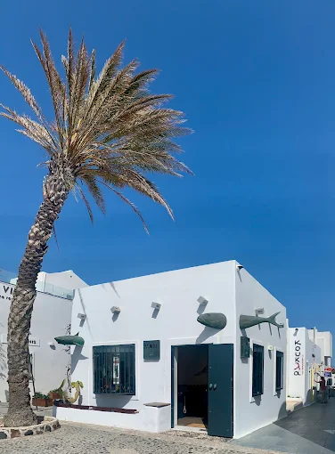 NICK THE GREEK – PANDORA OFFICIAL RETAILER FOR SANTORINI