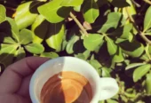 Gortyna Snack-Cafe